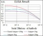 PLK1 Antibody