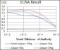CD5 Antibody