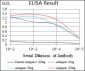 CD5 Antibody