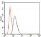 PIK3R1 Antibody