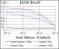 LMO2 Antibody