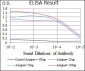 STAT5A Antibody