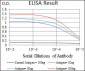 SCGB1A1 Antibody