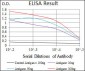 human Splunc2 Antibody