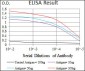 TWIST1 Antibody