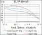 CDKN2A Antibody