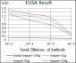 DKK3 Antibody