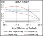 CAMK4 Antibody