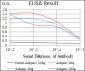 GATA6 Antibody