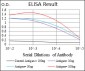 FGF4 Antibody