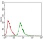 Ring1 Antibody