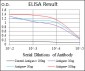 CD7 Antibody