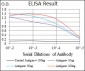 FLT3 Antibody