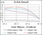 BRCA1 Antibody