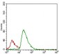 CFLAR Antibody