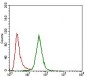 CD24 Antibody