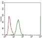 ABCC4 Antibody