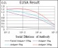 DNM1L Antibody