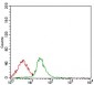 CD74 Antibody