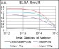 CD74 Antibody