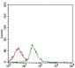 CD74 Antibody