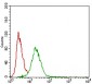 CD22 Antibody