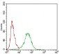 CD22 Antibody