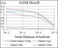 EGFR Antibody