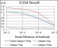 MCAM Antibody