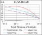 IGFBP7 Antibody