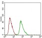 DNM1L Antibody