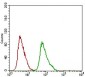 DNM1L Antibody