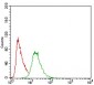 PON1 Antibody