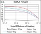 MEF2A Antibody