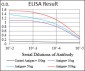 ABCB1 Antibody