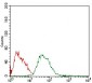 CSF1R Antibody