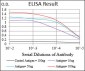 PRKAG1 Antibody