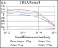 SDC1 Antibody