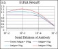 GABBR2 Antibody