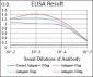 GABBR2 Antibody