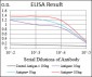 CDKN2A Antibody