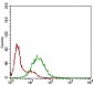 SSTR3 Antibody