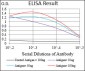 BACE1 Antibody