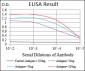 EPCAM Antibody