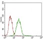 EPCAM Antibody