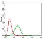 CAV2 Antibody