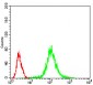 PPP1CB Antibody