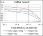 RAB27A Antibody