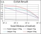 EIF2AK2 Antibody