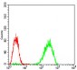 EIF2AK2 Antibody